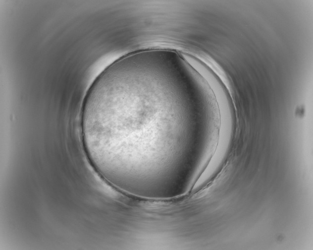 X0000090431293200708101957