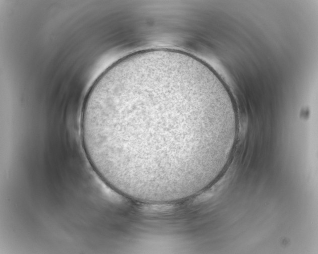X0000090431294200708101957