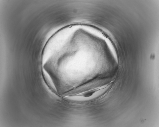 X0000090431295200708101957