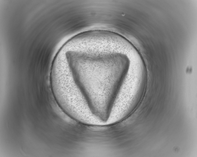 X0000090431296200708101957