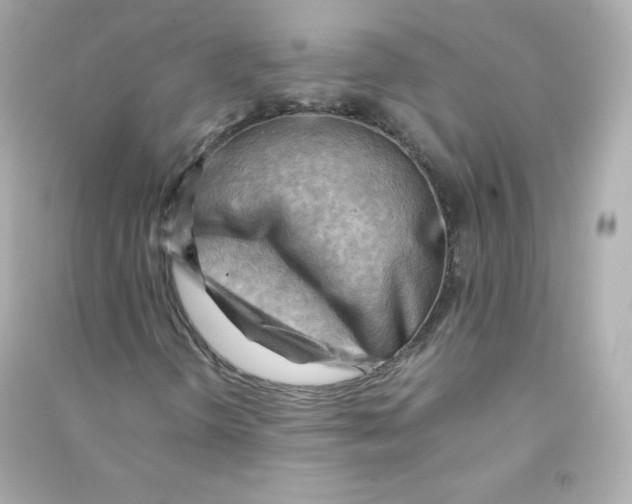 X0000090431298200708101956