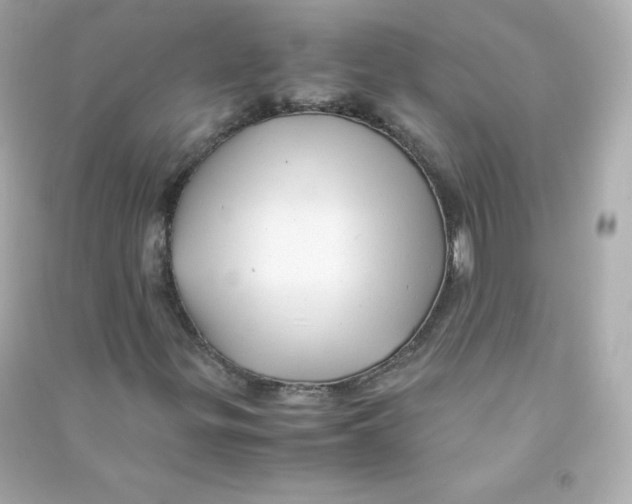 X0000090431299200708101956