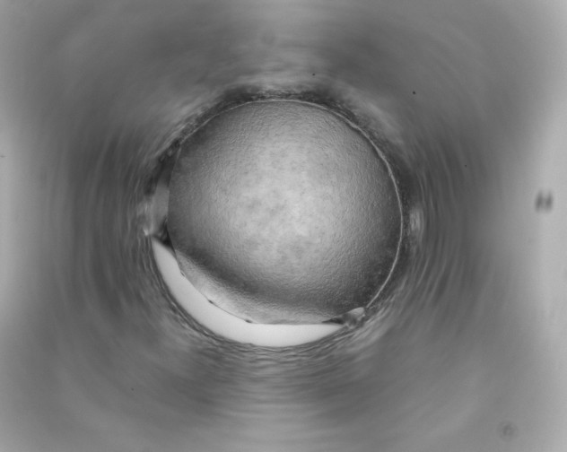 X0000090431300200708101956
