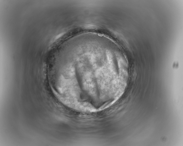 X0000090431301200708101956