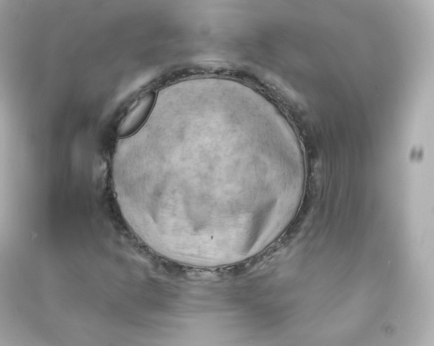 X0000090431302200708101956