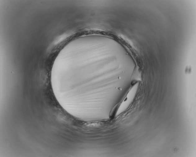 X0000090431303200708101956