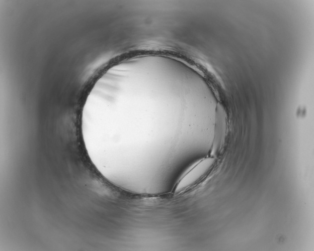X0000090431304200708101956