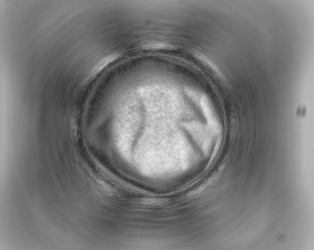 X0000090431305200708101956