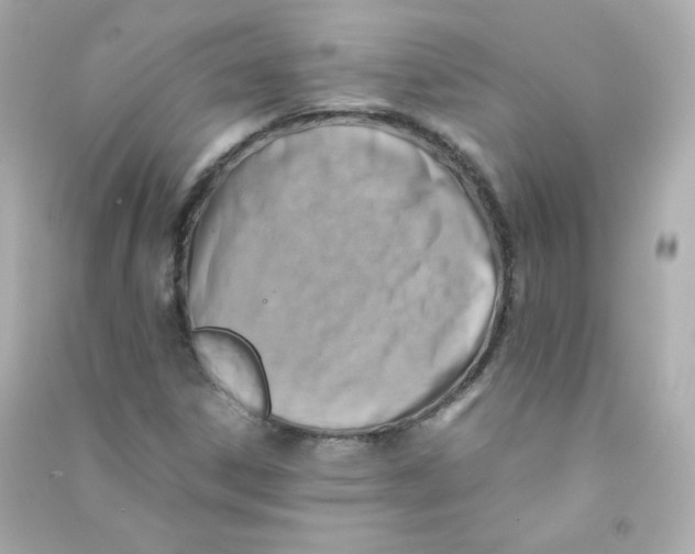 X0000090431306200708101956