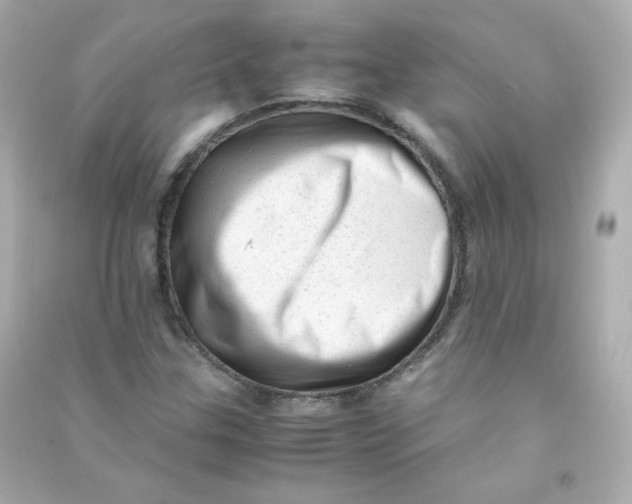 X0000090431307200708101956