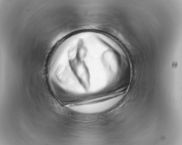 X0000090431308200708101956