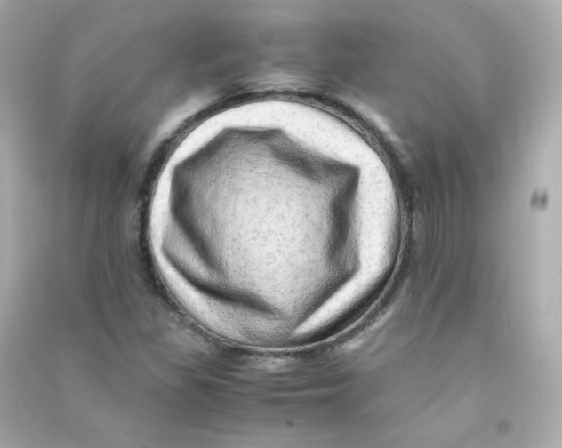 X0000090431309200708101956