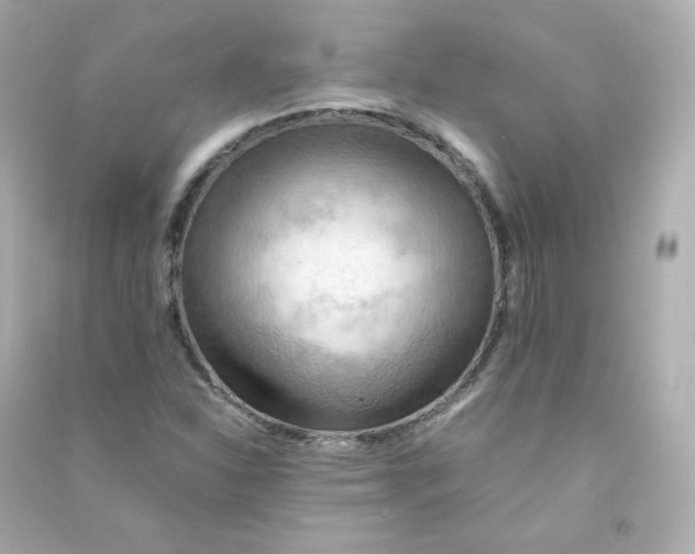 X0000090431310200708101956