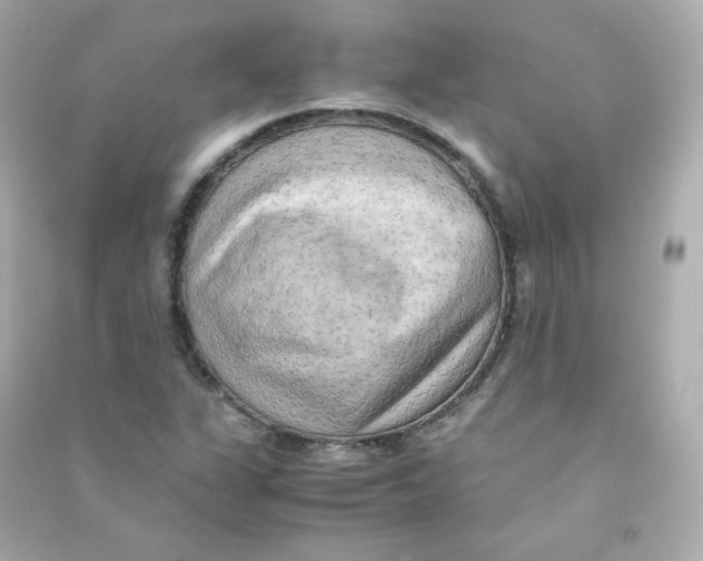X0000090431311200708101956