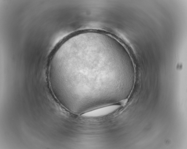 X0000090431312200708101956