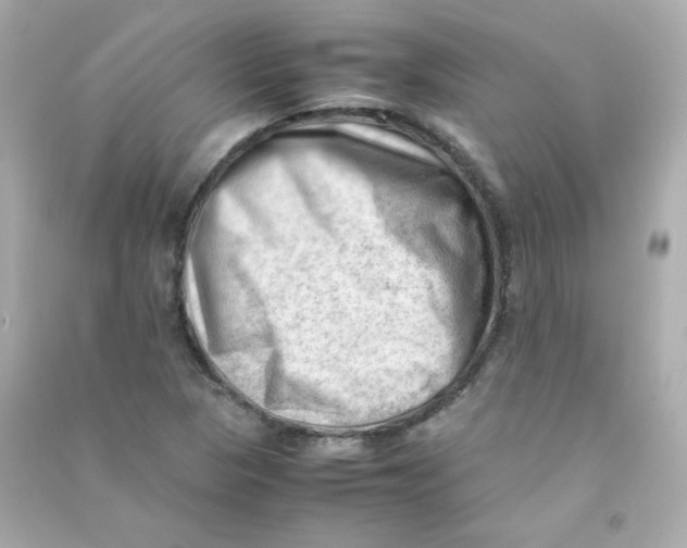 X0000090431313200708101956