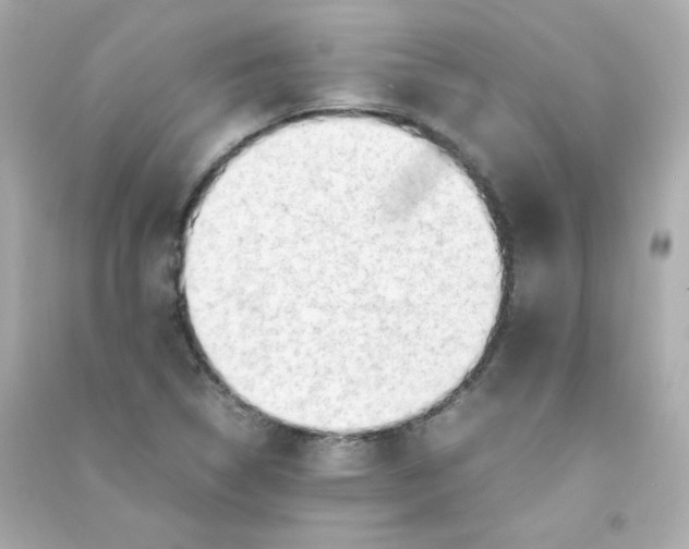 X0000090431314200708101956