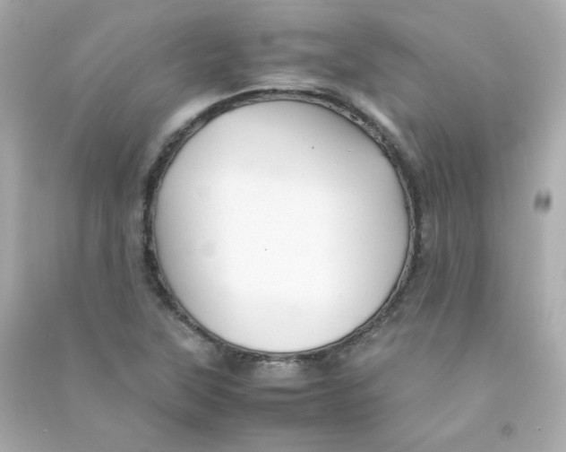 X0000090431315200708101956