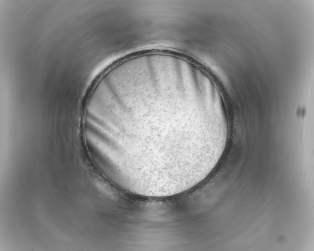 X0000090431316200708101956