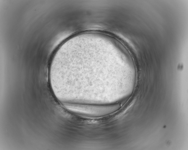 X0000090431317200708101956