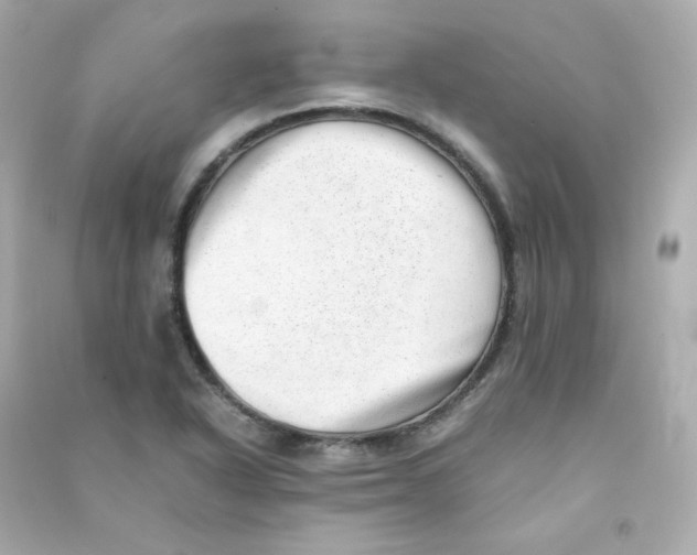 X0000090431318200708101956