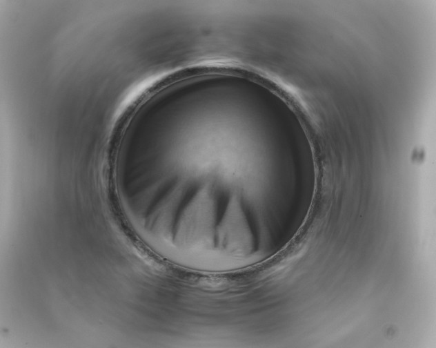 X0000090431319200708101956