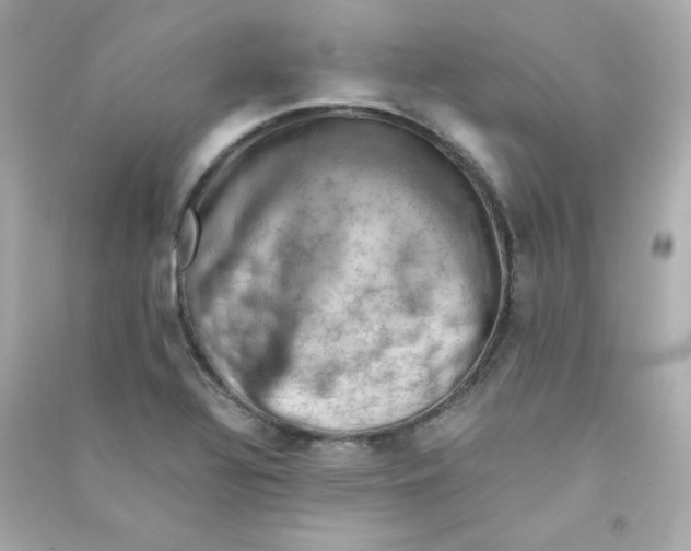 X0000090431320200708101956