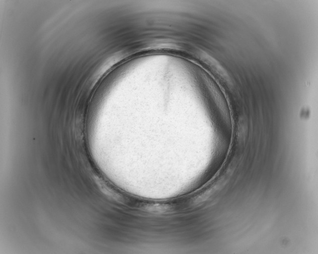 X0000090431321200708101956
