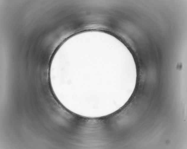 X0000090431322200708101956