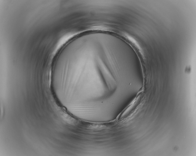 X0000090431323200708101956