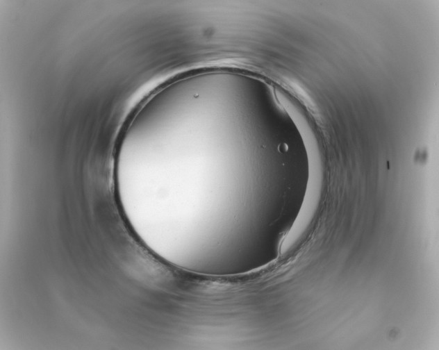 X0000090431324200708101956