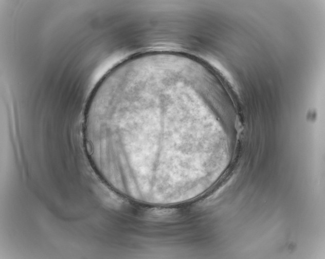 X0000090431325200708101956