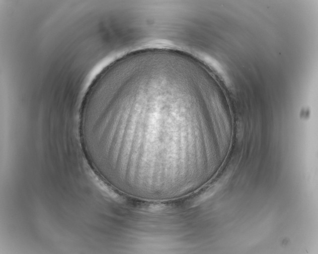 X0000090431326200708101956