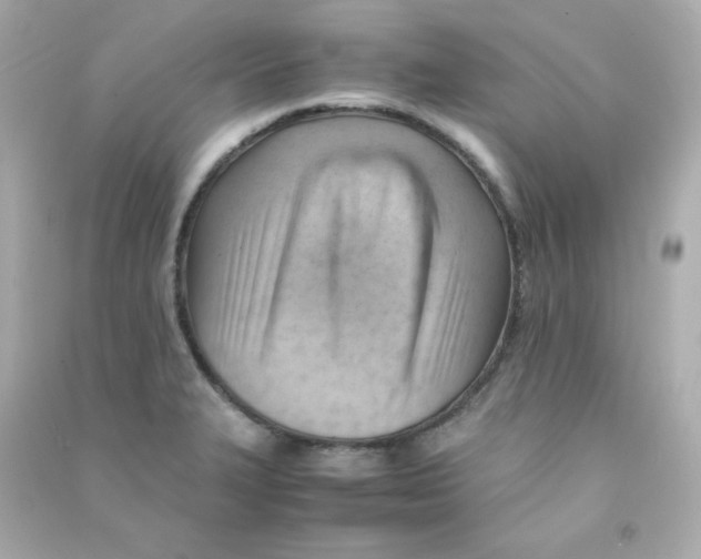 X0000090431327200708101956