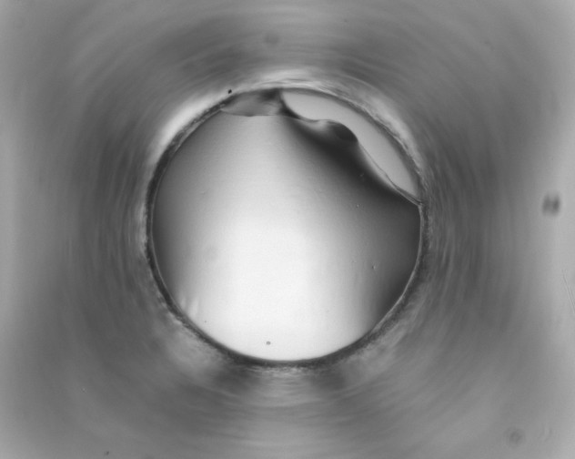 X0000090431328200708101956