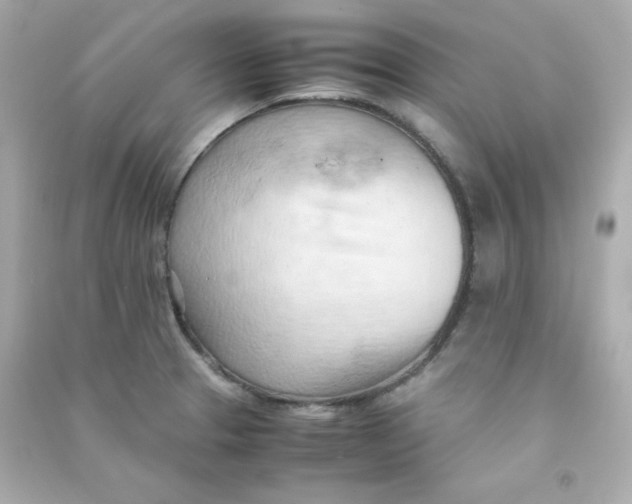 X0000090431329200708101956