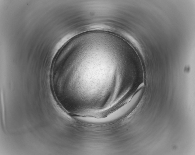 X0000090431330200708101956