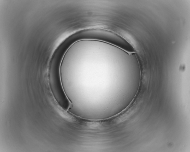 X0000090431332200708101956