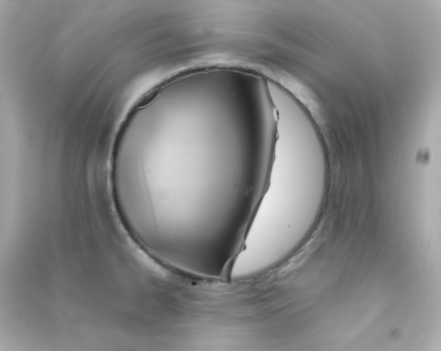 X0000090431334200708101956