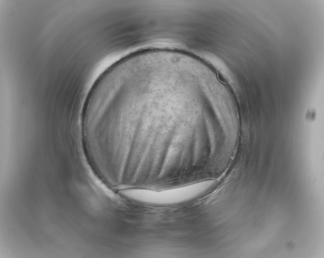 X0000090431335200708101956