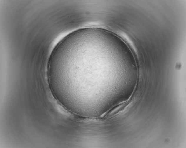 X0000090431336200708101956