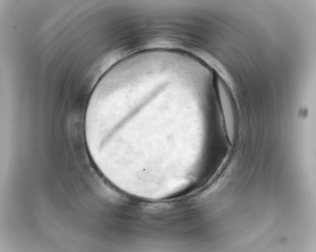 X0000090431337200708101956