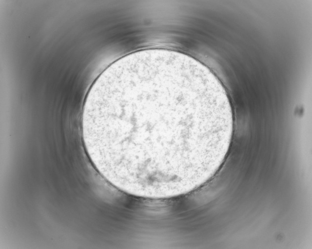 X0000090431338200708101956
