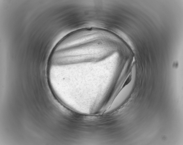 X0000090431339200708101956