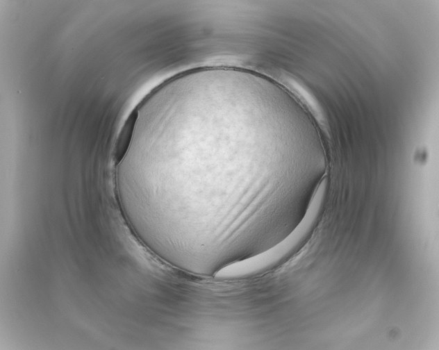 X0000090431340200708101956