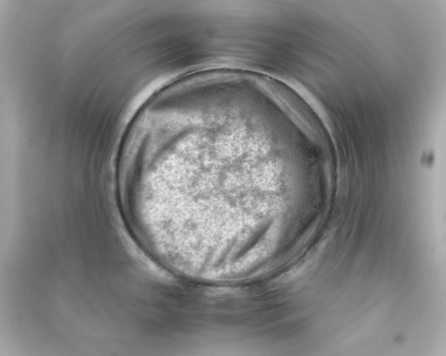 X0000090431341200708101957