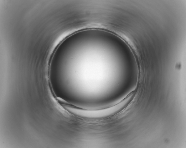 X0000090431342200708101957