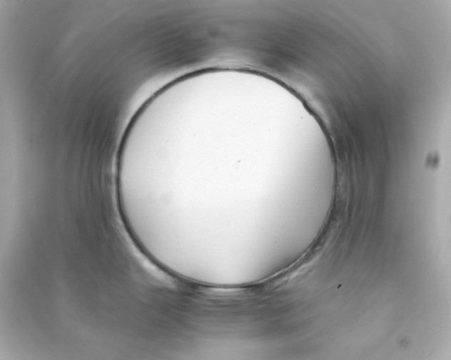 X0000090431343200708101957