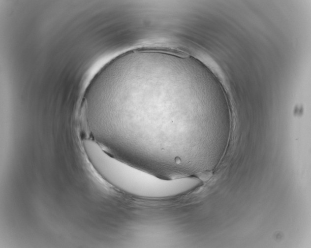 X0000090431344200708101957