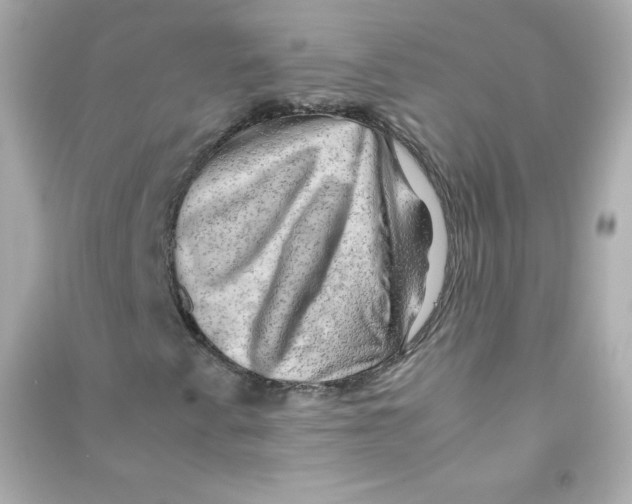 X0000090431345200708101956